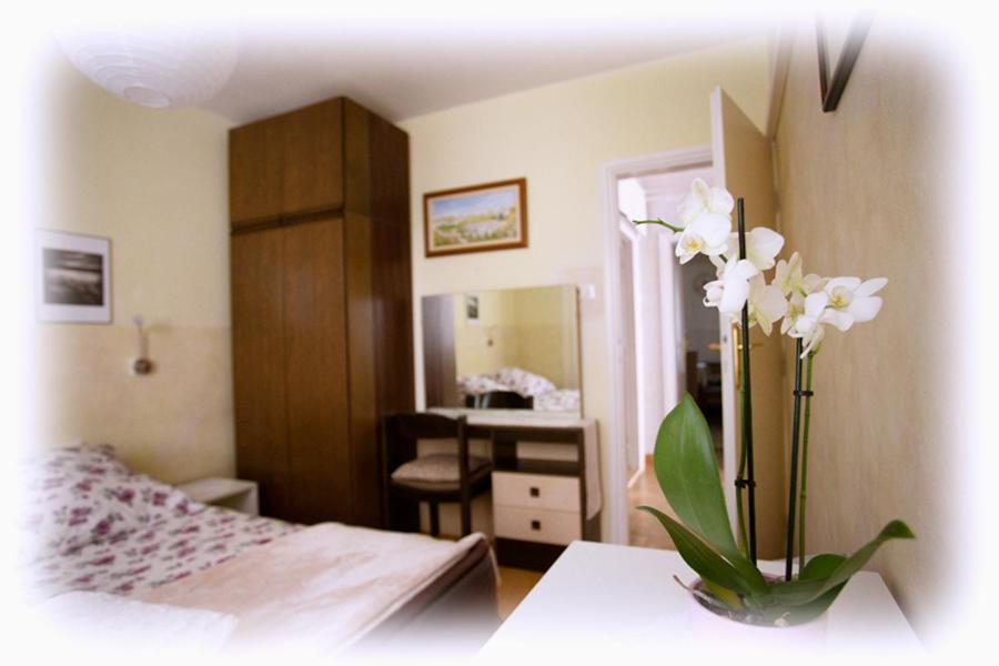 Apartment Josipa Poreč Exteriér fotografie